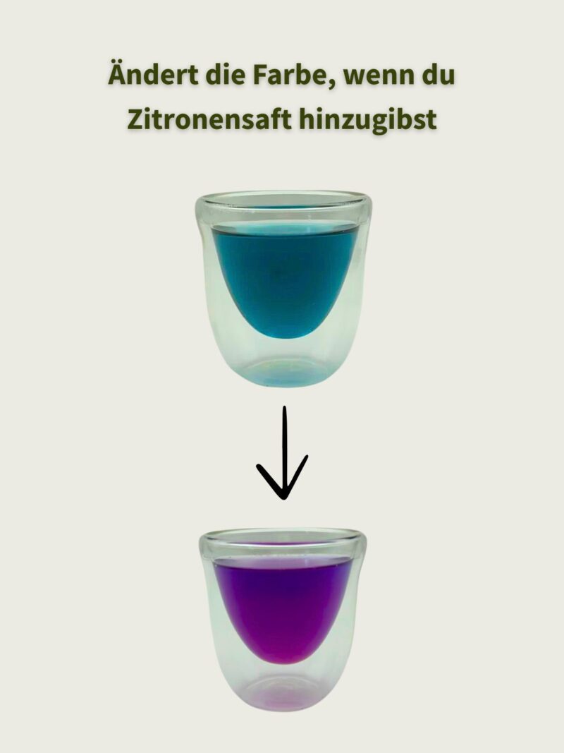 Butterfly Pea Tee, blauer Tee farbänderung