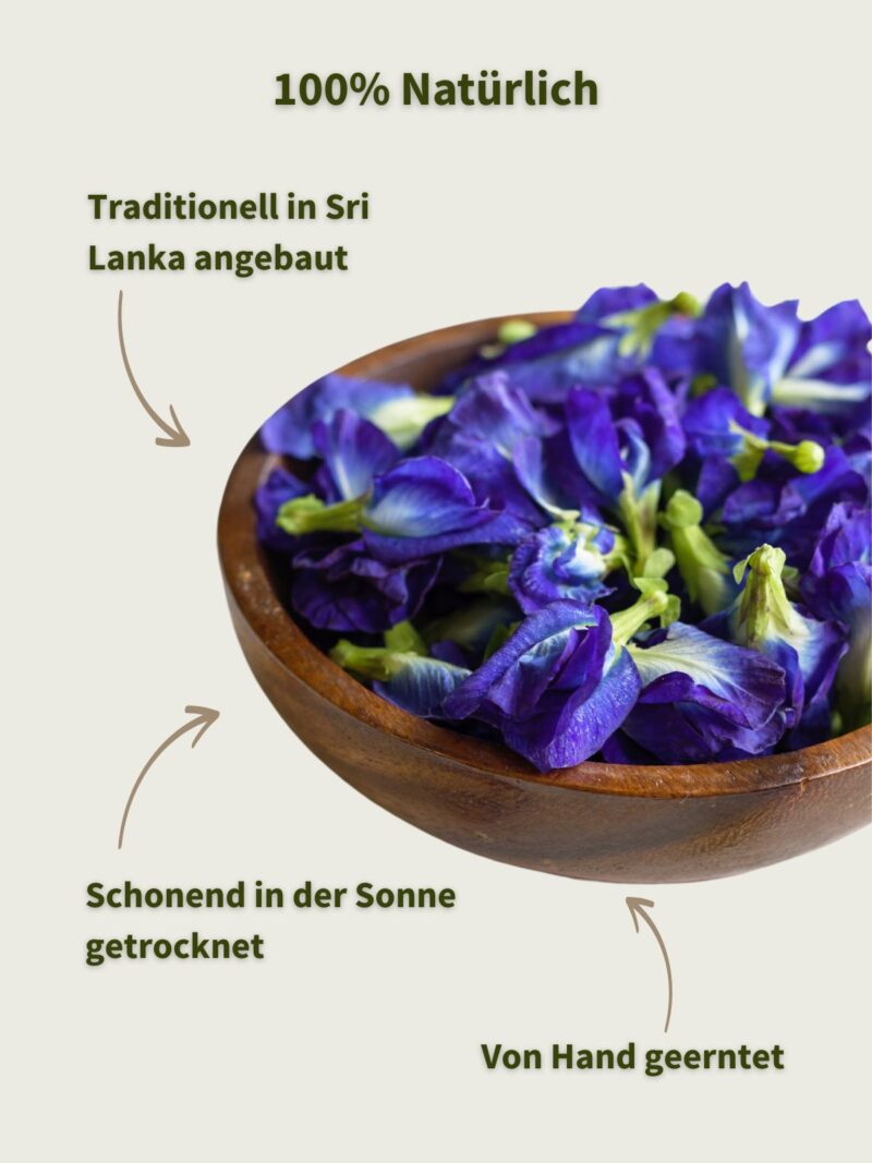 Butterfly Pea Blüten