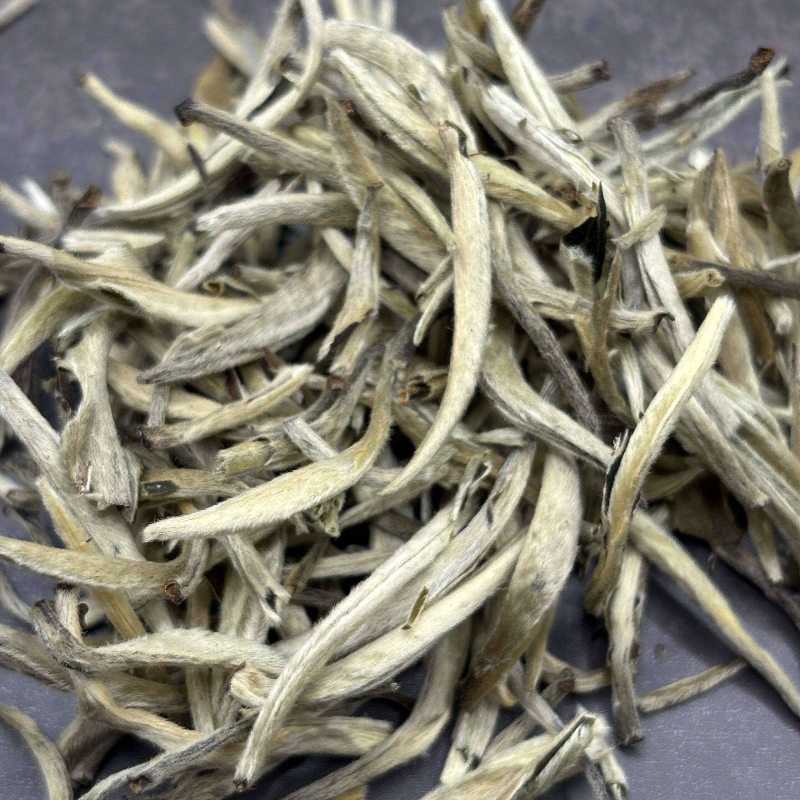 Yin Zhen weißer tee silver needle