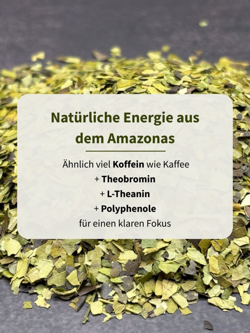 Guayusa Tee – Bild 3
