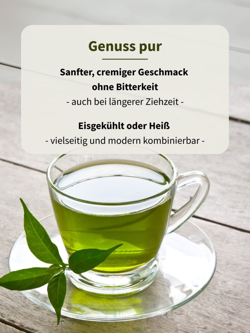 Guayusa Tee – Bild 5