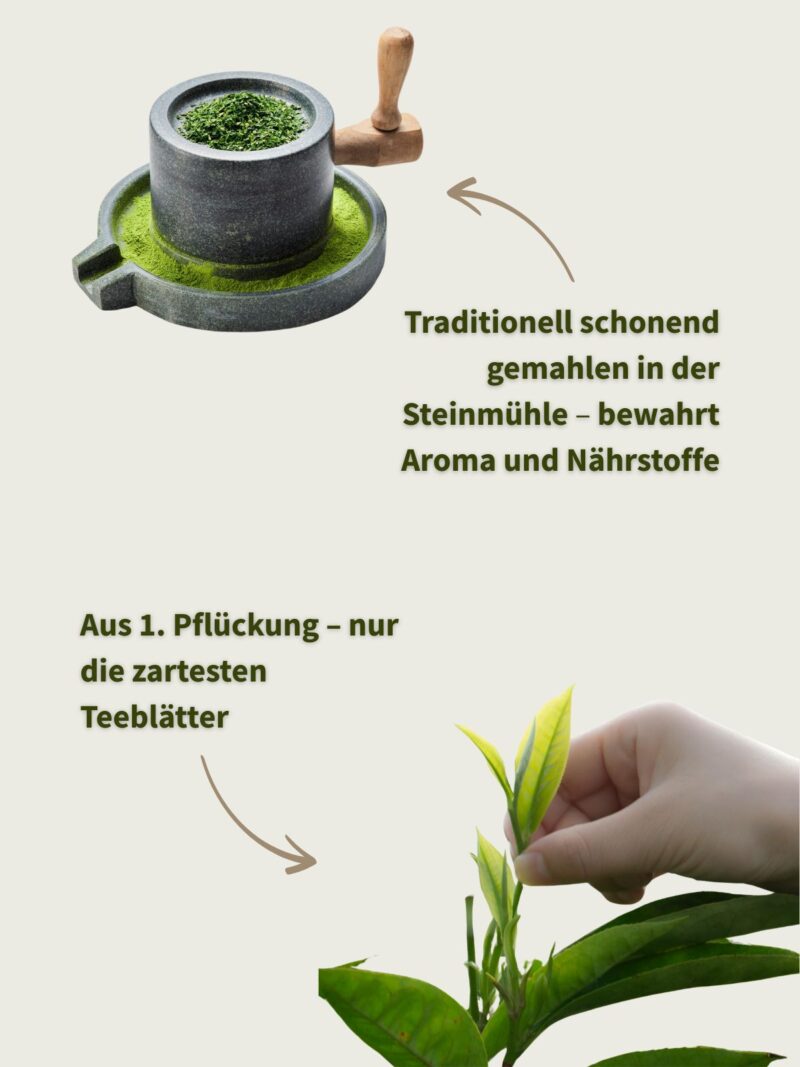 Matcha 'Shizuoka' - Alltags-Matcha, ideal für Matcha-Latte etc. – Bild 4