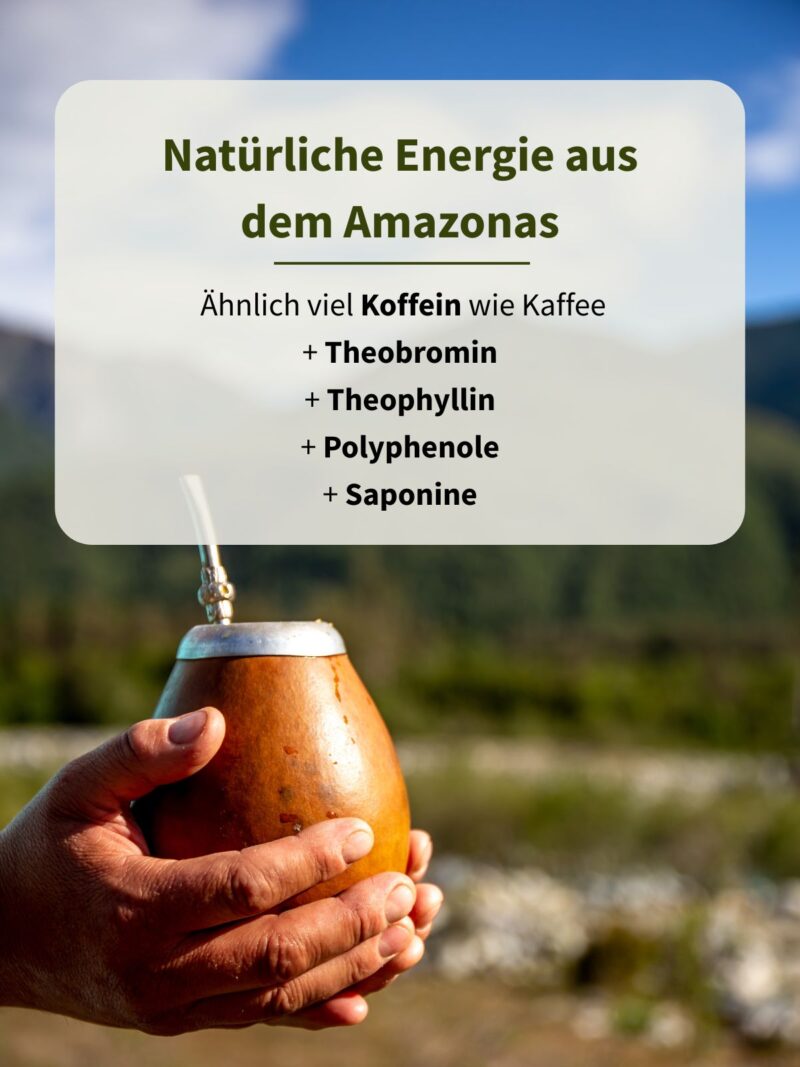 Mate Tee - Laborgeprüft – Bild 3