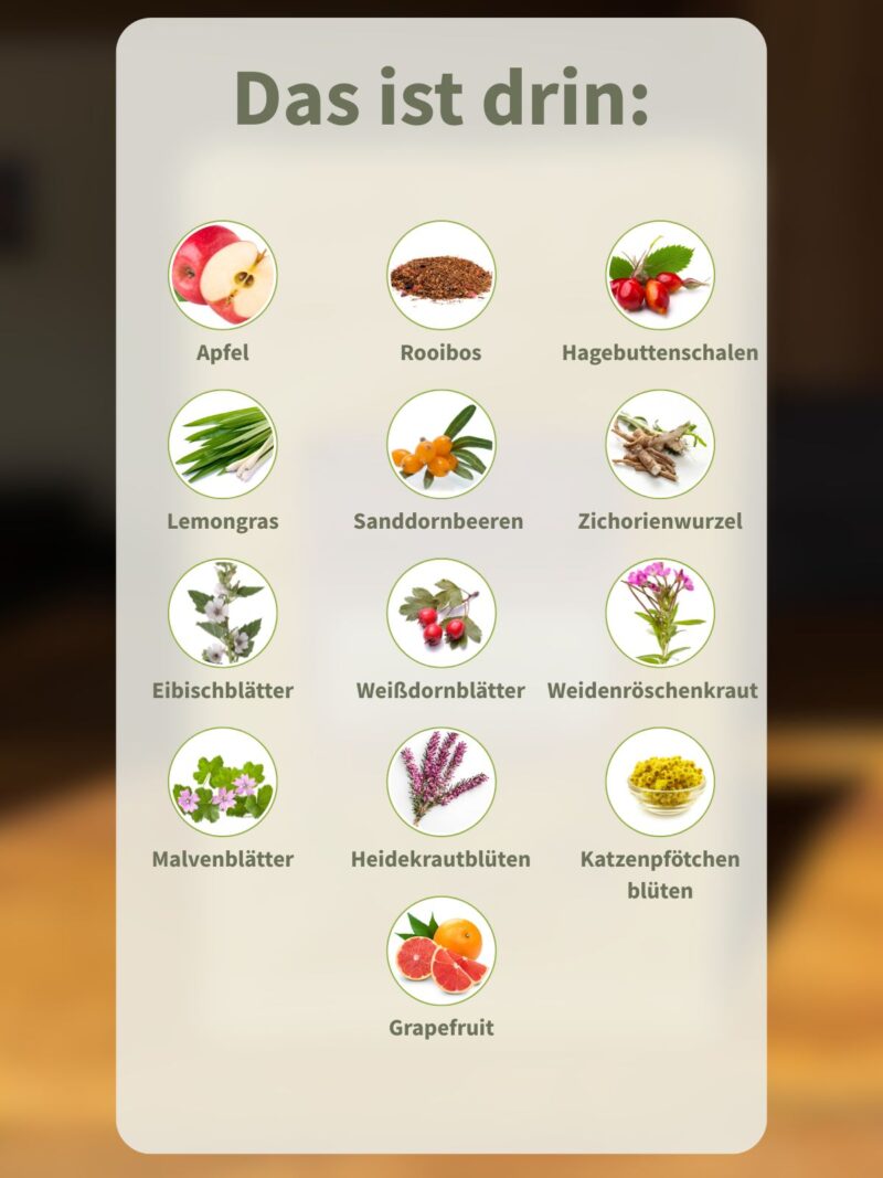 Vitaminbombe Sanddorn & Weißdorn – Bild 3